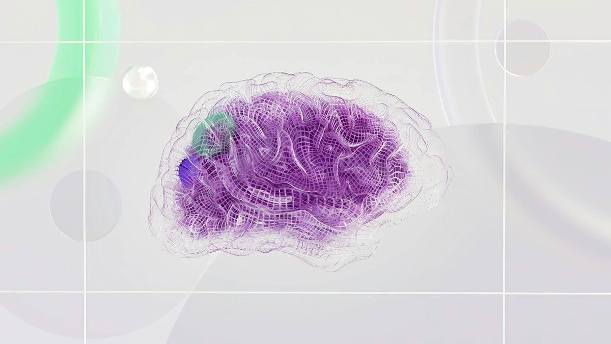 Neural Activity